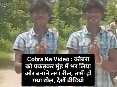 Cobra Ka Video 