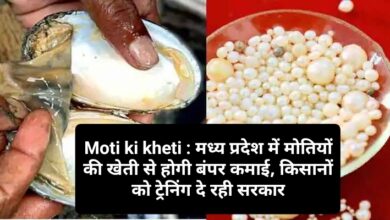 Moti ki kheti