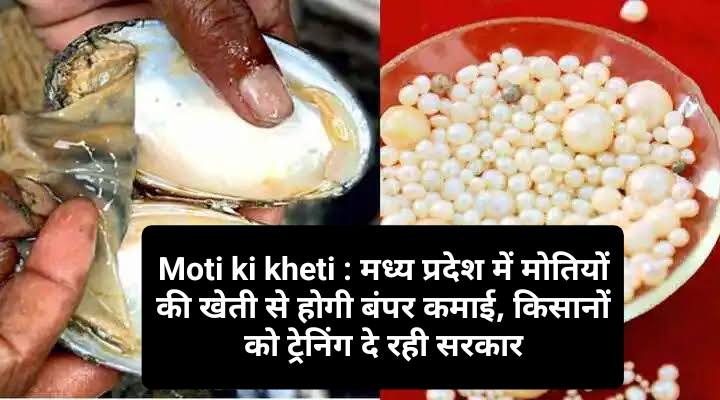 Moti ki kheti 