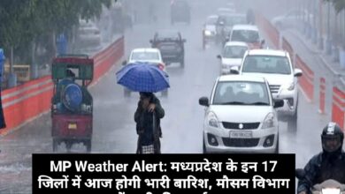 MP Weather Alert