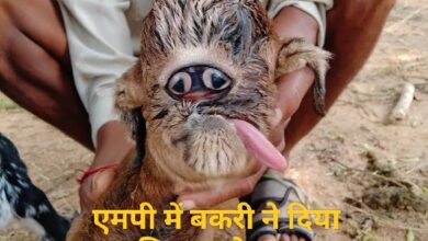 MP News