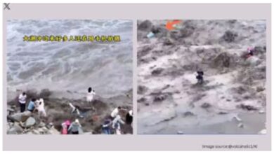 Viral Video