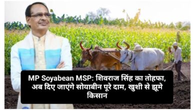 MP Soyabean MSP