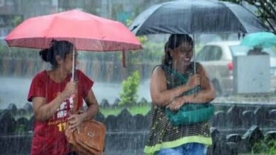MP Weather Alert