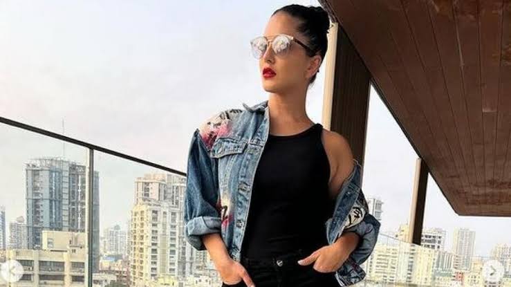 Sunny Leone income: