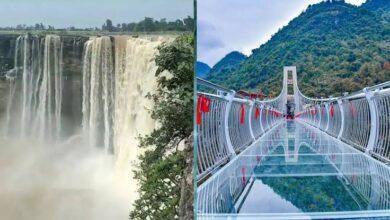Mp 1st Glass Bridge