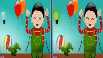 Optical Illusion Quiz: 