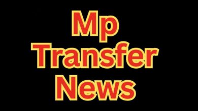 MP Transfer