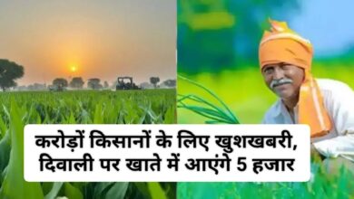 PM Kisan News