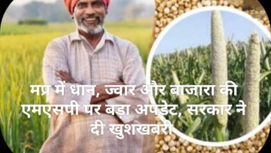 Madhya Pradesh News