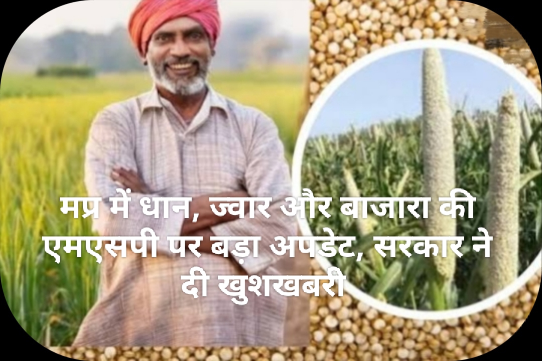 Madhya Pradesh News