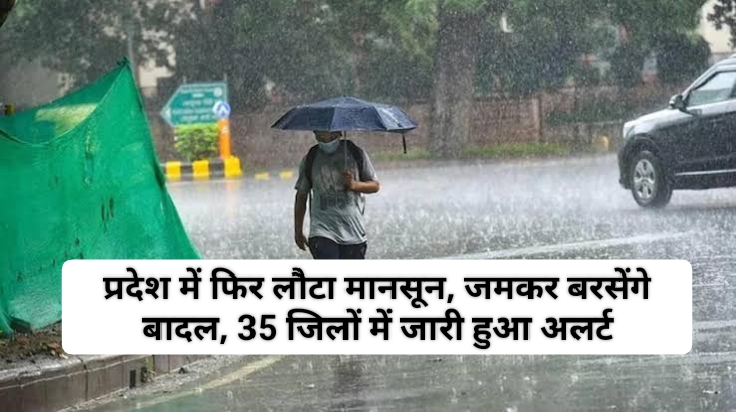 MP Weather News: