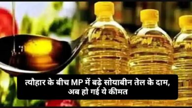Soybean Oil Price in MP