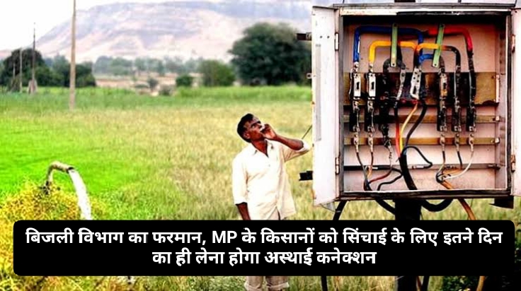 MP News :
