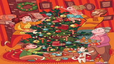 Optical Illusion Quiz