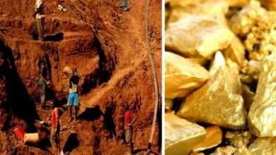 Gold Mine in MP