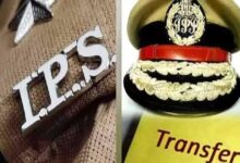 IPS Transfer News