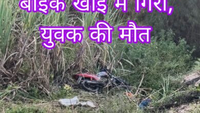 MP News