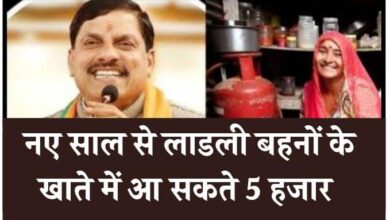 MP News