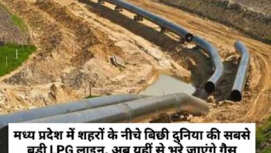 MP News