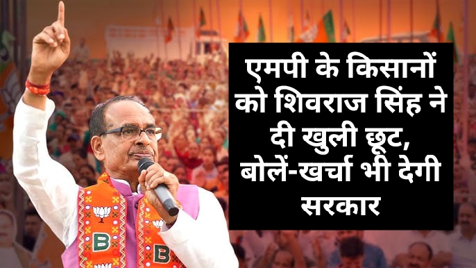 MP News