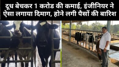Dairy Success Story