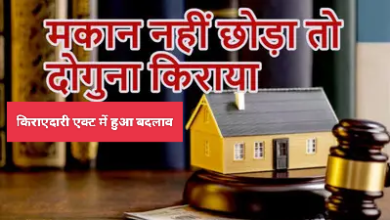 MP News