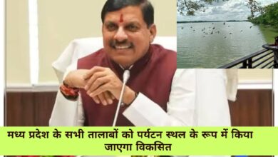 MP News