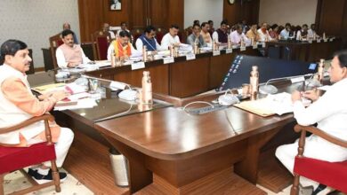 Mohan Cabinet Decision: