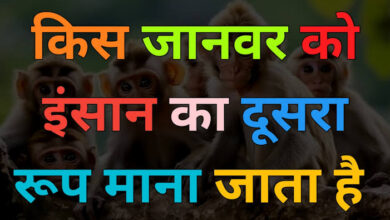 GK Quiz in Hindi: