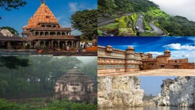 MP tourism news