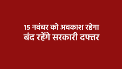 MP News
