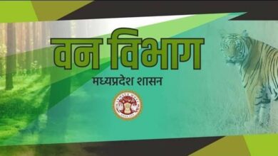 MP News