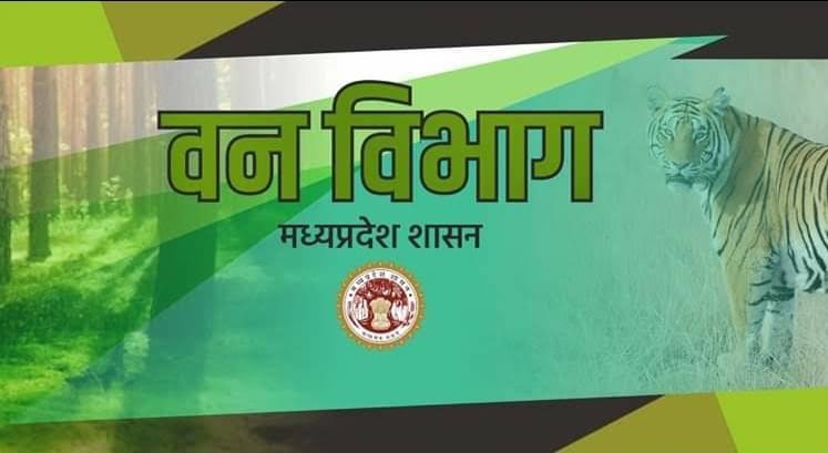 MP News