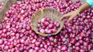 Onion Price Hike