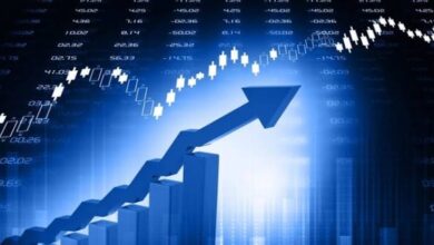 Multibagger Share