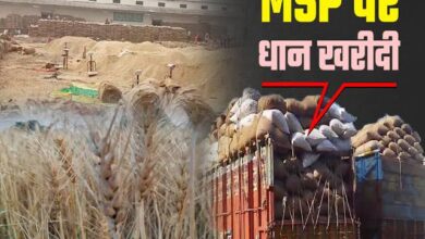 MP News