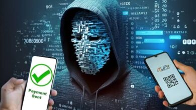 Online Fraud