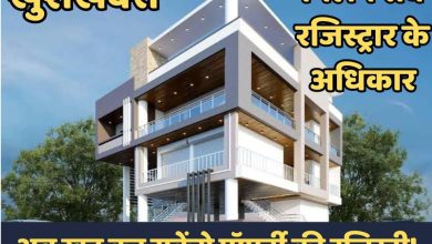 MP News