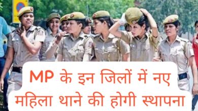 MP News