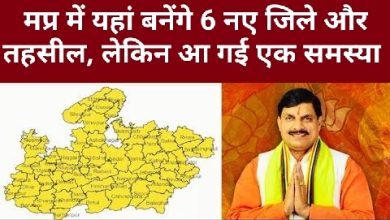 MP News