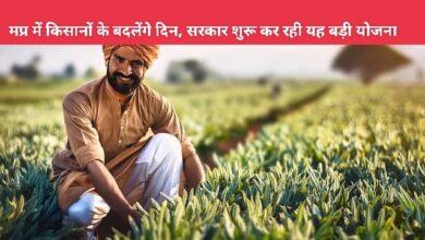 MP News