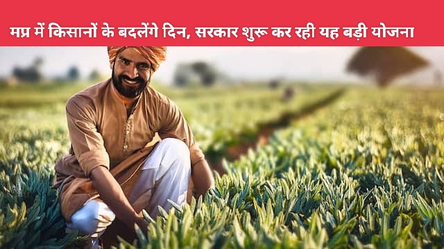 MP News