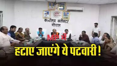 MP NEWS
