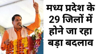 MP News Big