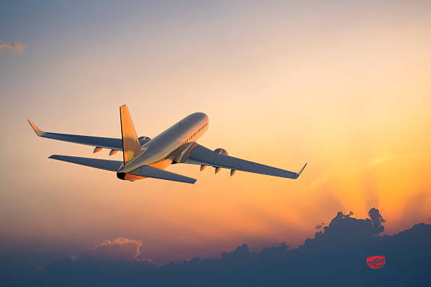 Bhopal To Goa Flight
