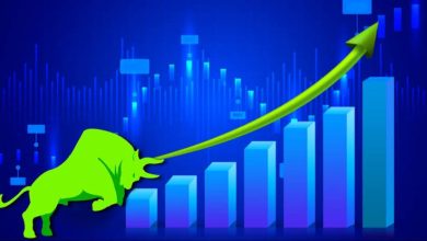 Multibagger Share