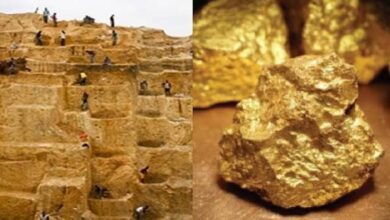 Gold Mining in MP