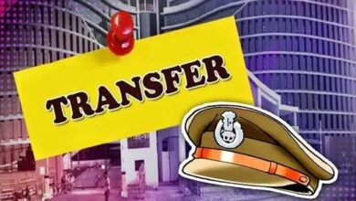 MP Transfer News: