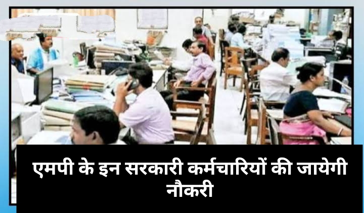 MP News